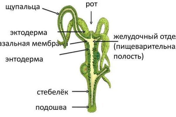 Кракен маркетплейс актуальные ссылки